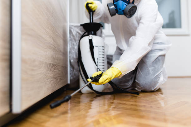 Best Local Pest Control Services  in Conover, NC