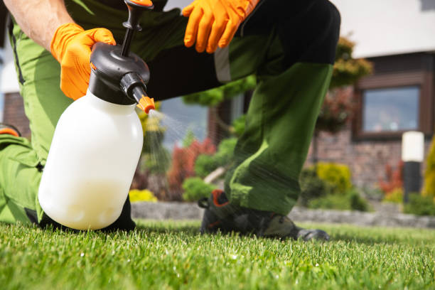 Best Pest Control for Homes  in Conover, NC