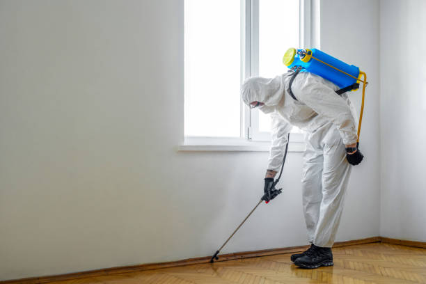 Best Emergency Pest Control  in Conover, NC