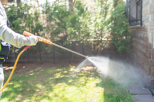 Spider Control Near Me in Conover, NC