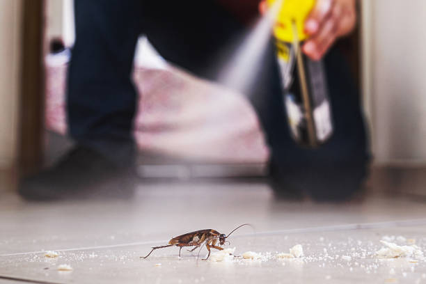 Best Best Pest Control Companies  in Conover, NC